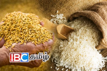 நாட்டில் நிலவும் அரிசித் தட்டுப்பாடு: வெளியான காரணம்!