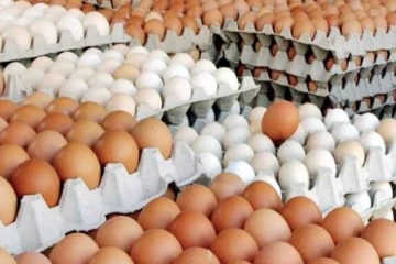 முட்டை விலை தொடர்பில் மகிழ்ச்சியான அறிவிப்பை வெளியிட்ட லங்கா சதொச!