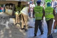 நபர் ஒருவர் கொடூரமாக கொலை - சகோதரியின் மகனின் வெறிச்செயல்