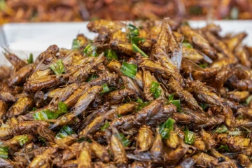 16 வகை பூச்சிகளை உண்ண சிங்கப்பூர் அரசு அனுமதி