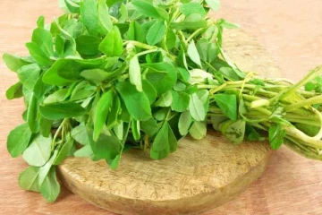 வாரம் ஒரு முறை வெந்தய கீரை சாப்பிடுவதால்.. உடலுக்கு கிடைக்கும் அற்புத பலன்கள்