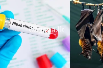 කේරළයට නිපා වෛරසය සීමා දමයි.