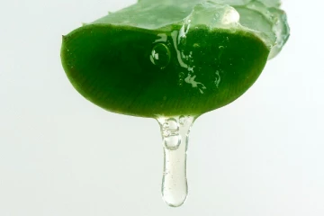 ஒரே நாளில் வெள்ளையாகனுமா? கற்றாழை ஜெல்லை முகத்தில் தடவி பத்து நிமிடத்தில் கழுவுங்க?