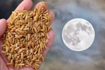 மனக்குழப்பத்தை நீக்க உதவும் பௌர்ணமி பரிகாரம்
