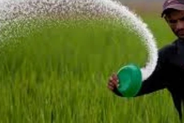 අද සිට දිවයින පුරා යූරියා..