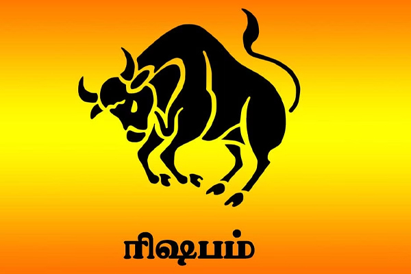 2024 ஆம் ஆண்டின் முதல் 3 மாதம் இந்த 3 ராசிகளுக்கு அதிர்ஷ்டமானதா இருக்கப் போகுதாம் | 3 Months Of 2024 Be Lucky For These 3 Zodiac Signs