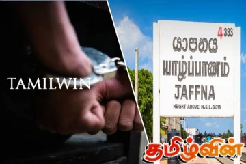 யாழில் கஞ்சா செடியை வளர்த்தவர் கைது