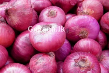 එළඹෙන අලුත් අවුරුද්දේ බී ලූනු මිලට වෙන්නෙ මේ දෙයයි.. ගත්ත විශේෂ තීරණයක් මෙන්න..