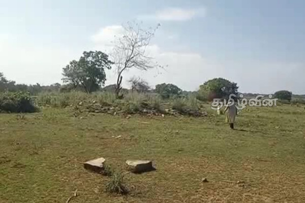 மாவீரர் தின அஞ்சலி வரலாற்று ரீதியாக மறக்க முடியாதது | Heroes Day Tribute Is Historically Unforgettable மாவீரர் தின அஞ்சலி வரலாற்று ரீதியாக மறக்க முடியாதது | Heroes Day Tribute Is Historically Unforgettable