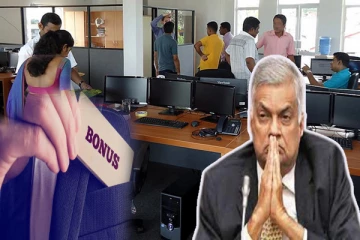 10000 அரச ஊழியர்களுக்கு மேலதிக கொடுப்பனவு - மன்னிப்புக் கோரியுள்ள ரணில்