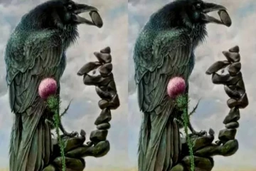 உங்க ஆழ்மன எண்ணத்தை கண்டுபிடிக்க ஒரு Test: இந்த படத்தில் முதலில் தெரிவது என்ன?