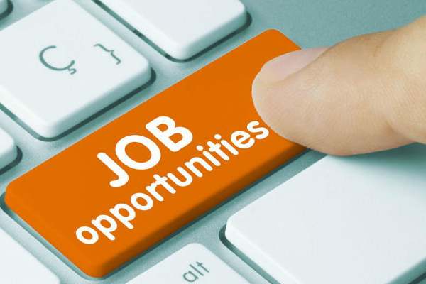 வடக்கு மாகாண பொதுச் சேவையில் உள்ள வெற்றிடங்களுக்கு ஆட்சேர்ப்பு | Vacancies Northern Provincial Public Service