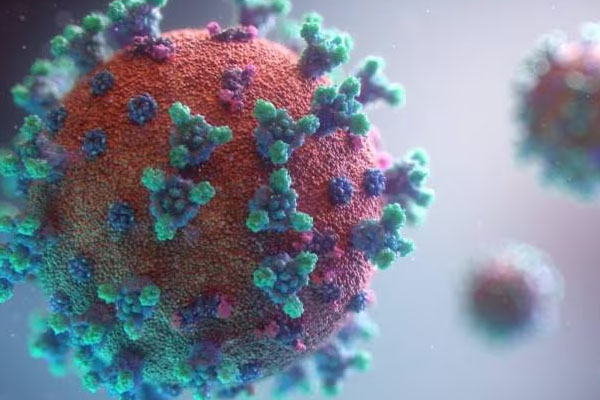 கனடாவிலும் கொரோனாவின் புதிய மாறுபாடு கண்டுபிடிப்பு | New Variant Of Corona Discovered In Canada