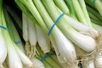 வெங்காயத்தாளில் இதை சேர்த்து சாப்பிட்டால் போதும்! இத்தனை பிரச்சனைகளுக்கு தீர்வாகுமா?