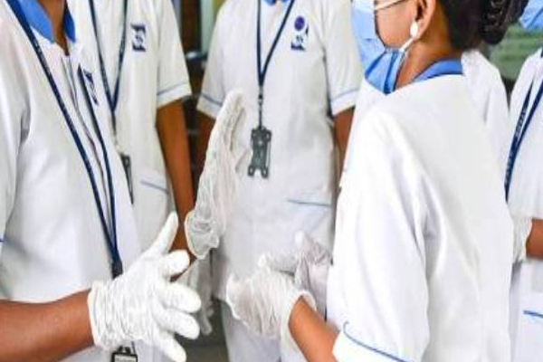 பதுளையில் துயரச் சம்பவம்: பெண் தொழிலாளிக்கு நேர்ந்த பரிதாபம்! | Woman Worker Died After Bitten By A Snake Passara