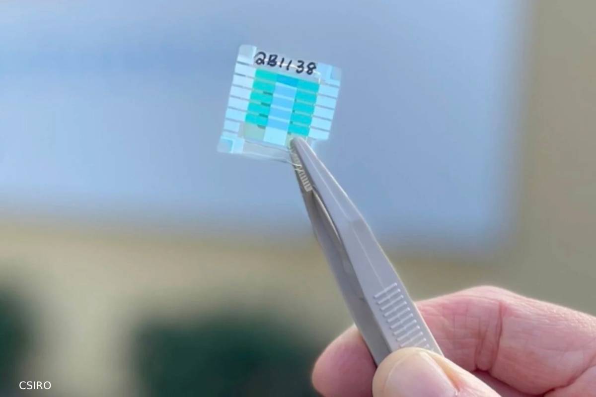 australian-scientists-built-quantum-battery