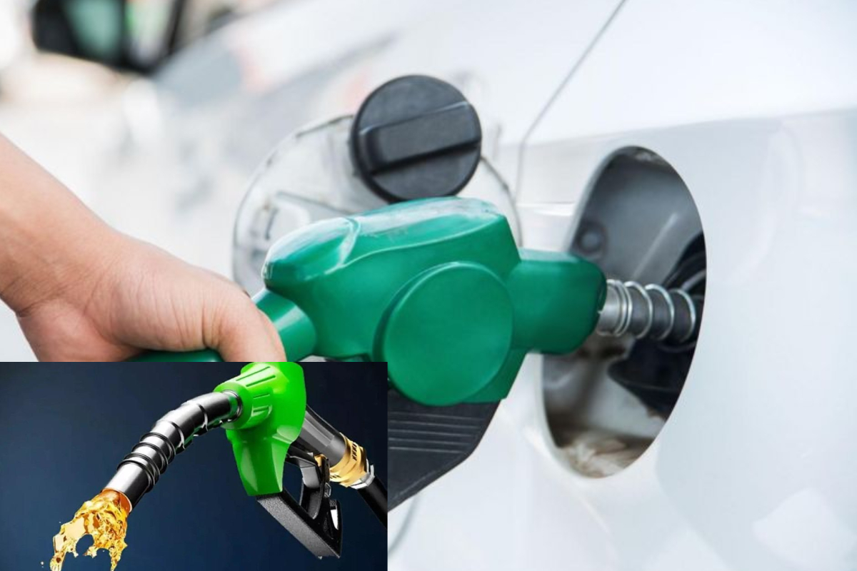 நிலக்கரி ஊழலை மறைக்க எண்ணெய் விலைகள் உயர்த்தப்படுகின்றன! நாமல் குற்றச்சாட்டு | Oil Prices To Cover Up Coal Corruption