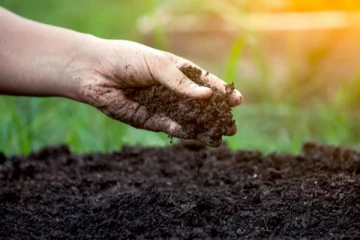 இலங்கையில் பசளை உற்பத்திக்கான நடவடிக்கை முன்னெடுப்பு: மஹிந்த அமரவீர