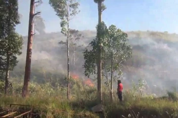 பண்ணையில் ஏற்பட்ட பாரிய தீ: பல ஏக்கர் புற்தரை எரிந்து நாசம் (Video)