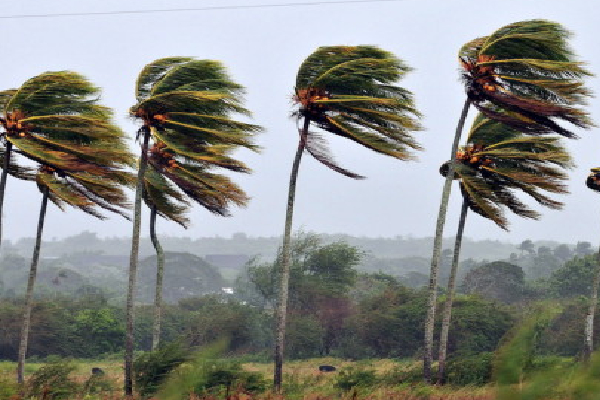 நாட்டின் சில இடங்களில் சிறிதளவு மழை பெய்யும் | Today Weather Update In Srilanka