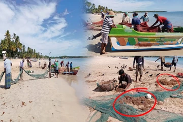 கரையொதுங்கும் கடற்பாசிகள்: அவதியுறும் கடற்றொழிலாளர்கள்