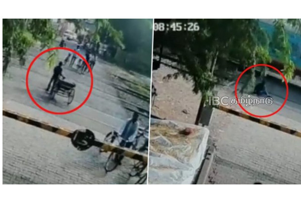 viral video viral video