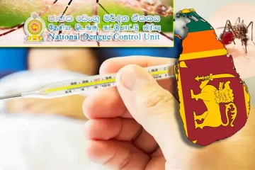 நாட்டில் டெங்கு நோயாளர்களின் எண்ணிக்கை அதிகரிப்பு