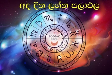 ලග්න 02කට ඉතා සුබ ඵල ගෙනෙන අද දිනයේ රාශි 12 පලාඵල.