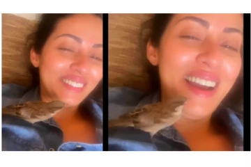 சதா உதட்டில் முத்தமிட்டு விளையாடிய குருவி... - வைரலாகும் க்யூட் வீடியோ...!