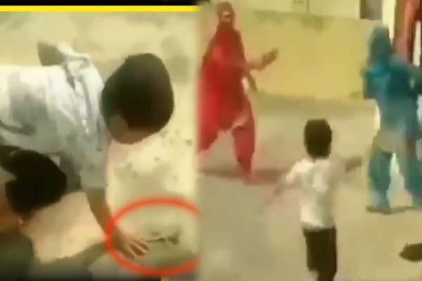 தாயை தலைதெறிக்க ஓட வைத்த சிறுவன்! செய்த காரியம் என்ன? | Boy Catches Lizard Scares Mother Viral Video