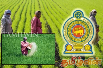 விவசாயிகளிடம் இருந்து அரசாங்கம் கொள்வனவு செய்துள்ள நெல்