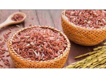 சிவப்பு அரிசி சாப்பிட்டு வந்தால்...உடலுக்கு எவ்வளவு நன்மை தெரியுமா? பலருக்கும் தெரியாத தகவல்