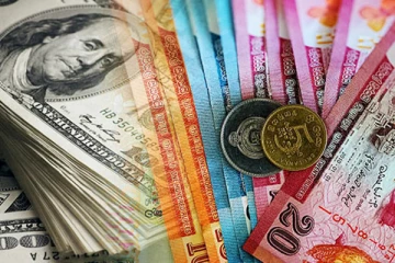 இலங்கையில் ஒரு டொலருக்கு 240 ரூபா! அமைச்சர் வெளியிட்டுள்ள தகவல்