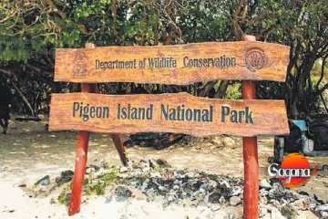 පරවි දුපත තාවකාලිකව වසා දමයි