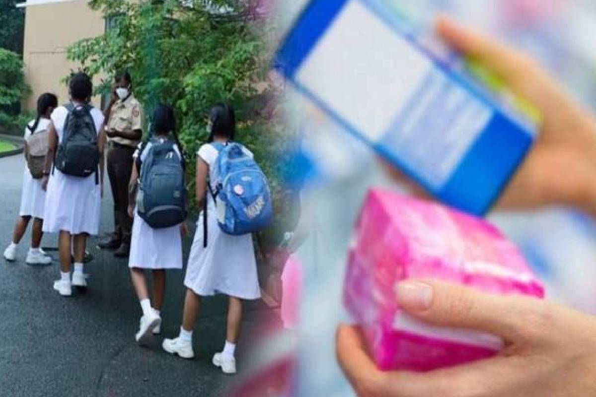 மீண்டும் மாணவிகளுக்கு இலவச சுகாதார அணையாடை திட்டம் ; அரசின் முக்கிய தீர்மானம் | Sanitary Napkins Program Schoolgirls Will Continue