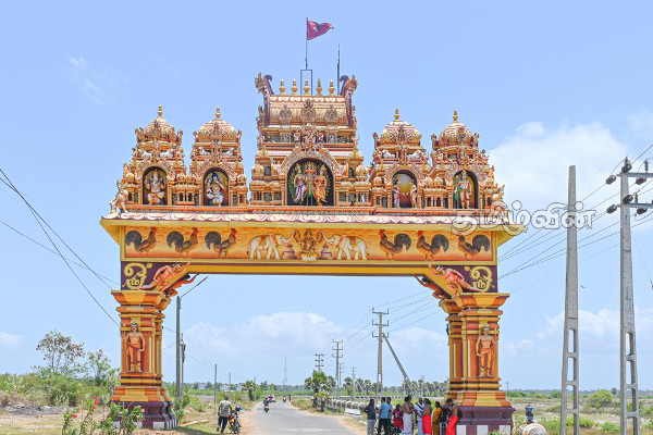 நல்லூர் வரவேற்பு வளைவில் சேவல் கொடி கட்டும் நிகழ்வு (Photos) | Historic Nallur Kandaswamy Annual Festival