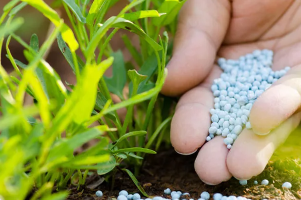 விவசாயிகளுக்கு மகிழ்ச்சித்தகவல்! | Good News For Farmers