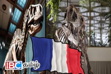 பாரிசில் ஏலத்திற்கு வரவுள்ள உலகின் மிகப்பெரிய டைனோசர் எலும்புக்கூடு!