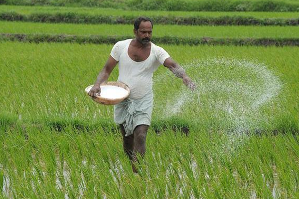 உர மானியத்திற்கான பற்றுச்சீட்டுக்களை வழங்கும் நடைமுறையிலுள்ள பிரச்சினைகள் தொடர்பில் கலந்தாய்வு | Dineshgunavardena Ambaradistrickoffice