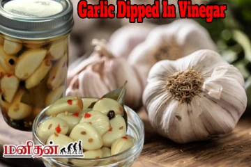 இந்த பிரச்சனைகள் வாட்டி எடுக்குதா? வினிகருடன் பூண்டு சாப்பிட்டால் போதும்
