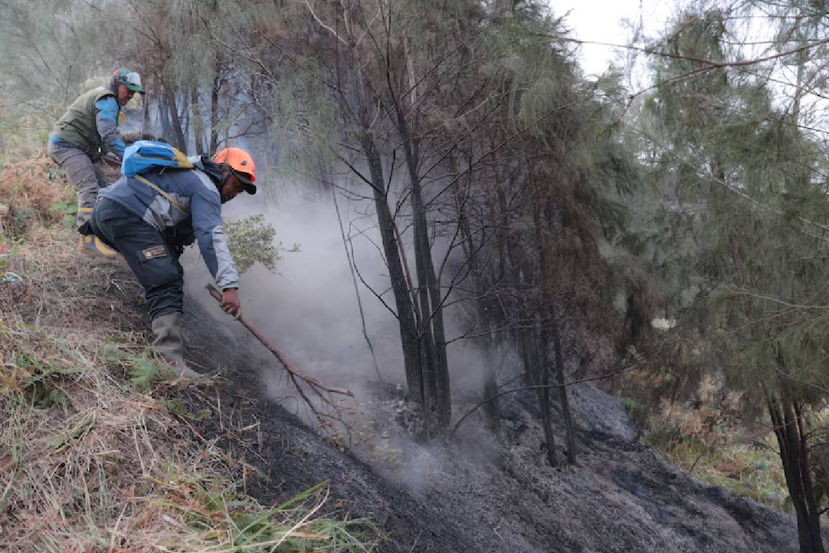 இந்தோனேசியாவில் காட்டுத்தீ தீவிரம்: பாடசாலைகள் மூடல் | Forest Fires In Indonesia Schools Closed இந்தோனேசியாவில் காட்டுத்தீ தீவிரம்: பாடசாலைகள் மூடல் | Forest Fires In Indonesia Schools Closed