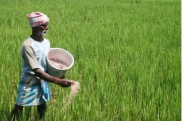 முல்லைத்தீவு விவசாய நிலங்களுக்கு உரம் பற்றாக்குறை
