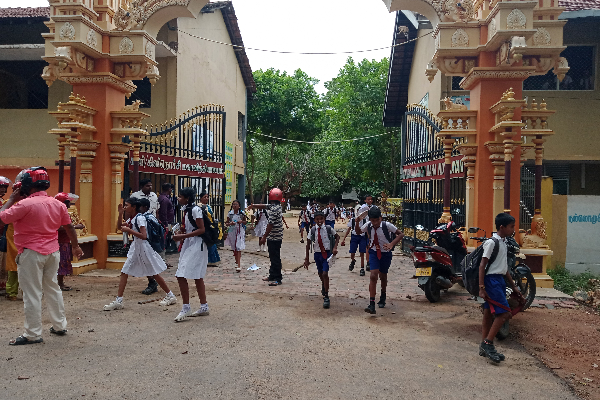 கிளிநொச்சி மகா வித்தியாலயத்தில் குளவி கொட்டுக்கு இலக்காகி 25 மாணவர்கள் வைத்தியசாலையில் (Photos) | 25 Students Hospitalized At Wasp Maha Vidyalaya