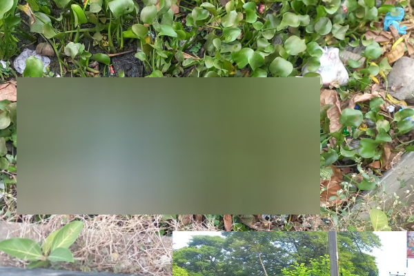 மட்டக்களப்பில் ஆணின் சடலம் மீட்பு - பொது மக்களிடம் உதவி கோரும் காவல்துறையினர் | Man S Body Recovered In Batticaloa