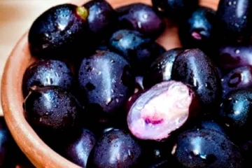 தோல் சுருங்காமல் இளமையாகவே எடை குறைப்பது எப்படி? நாவல் பழம் அடிக்கடி சாப்பிடுங்க