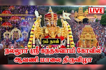 நல்லூர் கந்தன் மகோற்சவ பெருவிழாவின் ஒன்பதாம் நாள் உற்சவம்(Live)