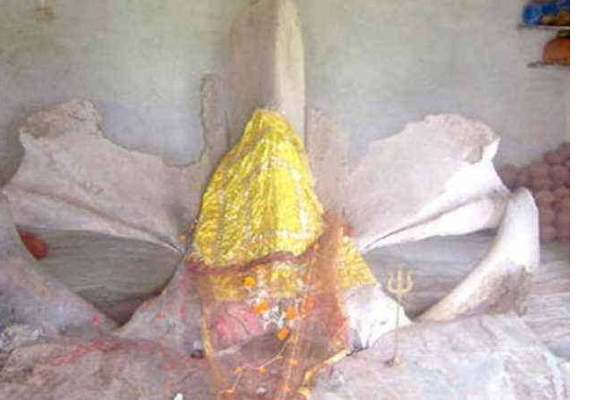 திமிங்கலத்தை வணங்கும் 300 ஆண்டு பழமையான கோவில்! தோன்றிய வரலாற்று காரணம்; | Whale Fish Worshipped In This 300 Year Old Temple