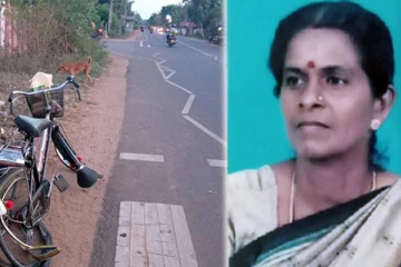 யாழில் விபத்தில் சிக்கிய பெண் உயிரிழப்பு