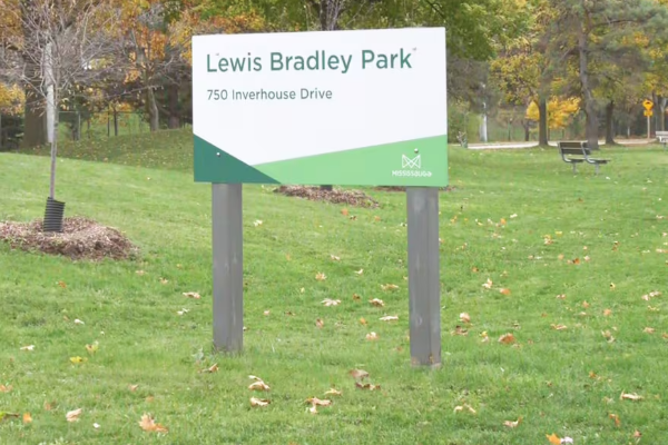 கனடாவில் பூங்காவொன்றில் ஓநாயினால் தாக்கப்பட்ட பெண் | Woman In Critical Condition Coyote Attack கனடாவில் பூங்காவொன்றில் ஓநாயினால் தாக்கப்பட்ட பெண் | Woman In Critical Condition Coyote Attack