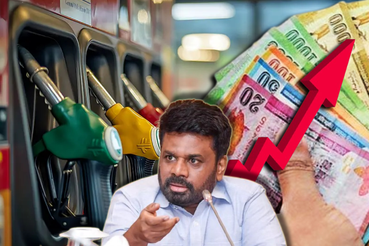 எரிபொருள் விலை குறித்து ஜனாதிபதி அநுர அதிரடி அறிவிப்பு | Fuel Prices May Rise From Oct Govt Plans Subsidy